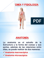 Anatomia-1.pdf