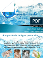 aimportnciadaguaaula2anofundamental-111027171503-phpapp02