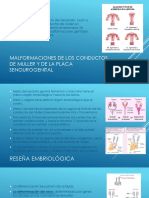 Malformaciones de Los Conductos de Muller y de La Placa