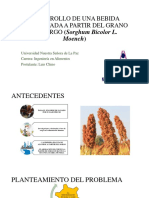 Elaboración de Bebida