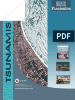 Tsunamis