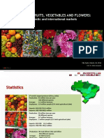 BRAZILIAN FRUITS, VEGETABLES AND FLOWERS