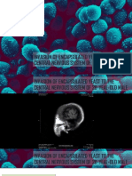 Microbiology Case Study: Cryptococcal Meningitis