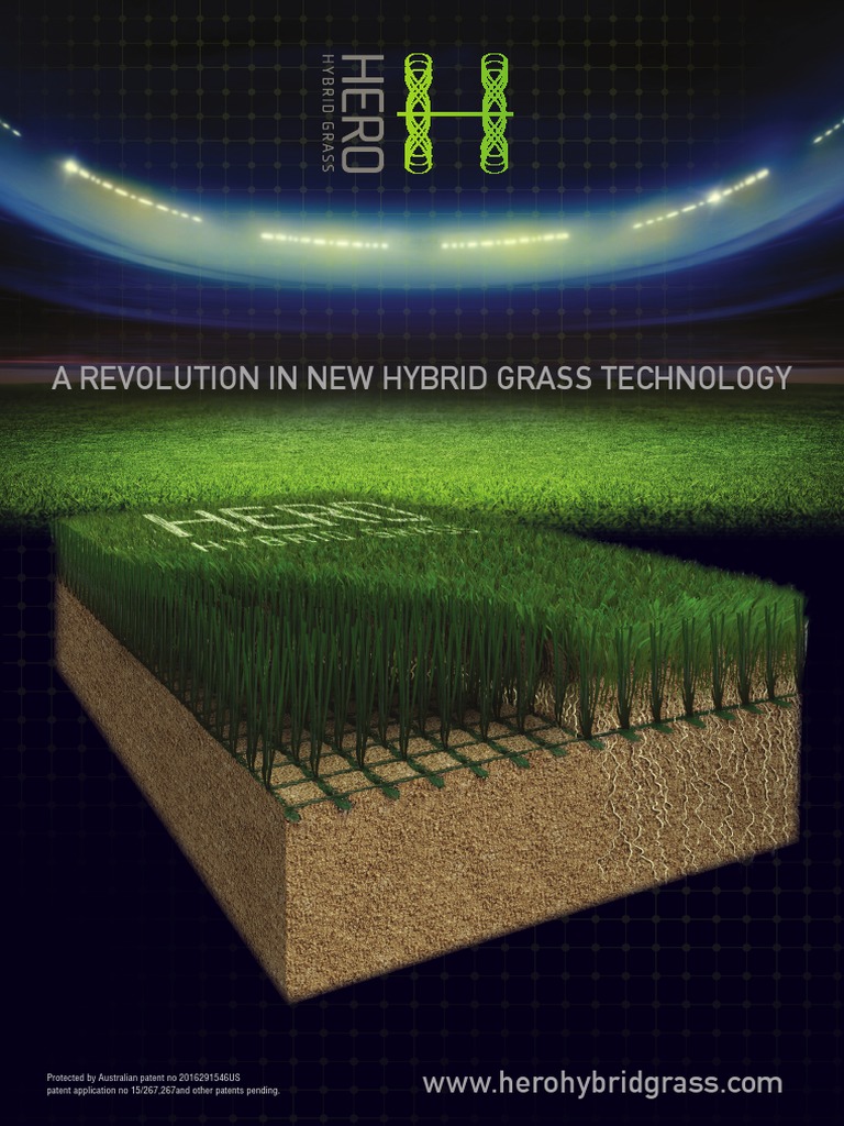 A Revolution in New Hybrid Grass Technology | PDF | Sports | Nature