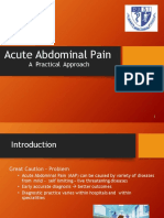 Acute Abdominal Pain: A Practical Approach