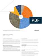 Microsoft Competency Wheel PDF