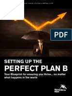 SovereignMan.com the Perfect Plan B Guide