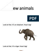 Review Animals