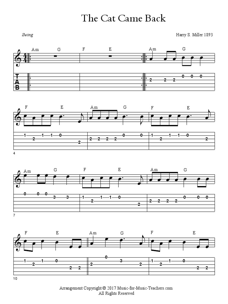 The Cat Came Back PDF