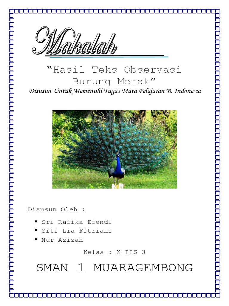 Hasil Teks Observasi Burung Merak Docx
