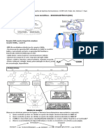 Aulas Exercicios-Ansioliticos BZD