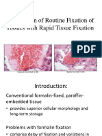 Comparison of Routine Fixation of Tissues With Rapid