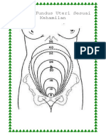 TFU Sesuai Kehamilan