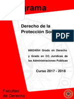 Programa Derecho Protección Social-38852980-2