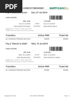 Flight E-Ticket PDF