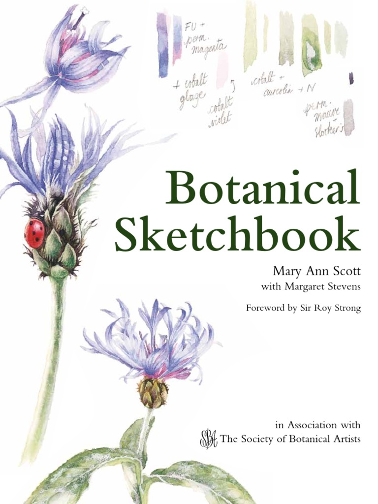 Botanical Sketch Book PDF | PDF | Leaf | Flowers