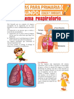 Sistema-Respiratorio-para-Segundo-de-Primaria.pdf