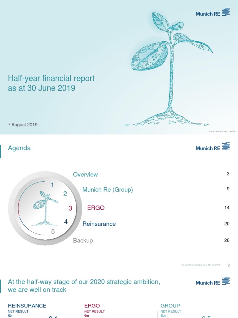 Munich Re Q2 2019 Financial Results PDF Equity (Finance) Insurance