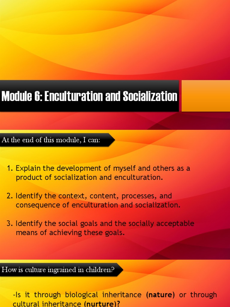 essay about socialization and enculturation