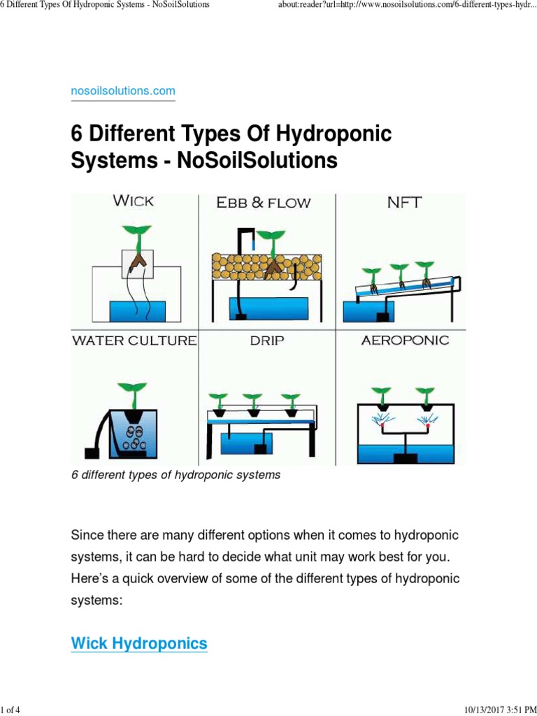 Overview of Hydroponic System Types | PDF | Hydroponics | Botany