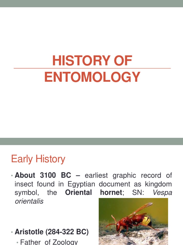 Timeline of entomology since 1900 - Wikiwand