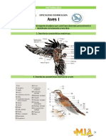 Especialidad de Aves Conquis PDF