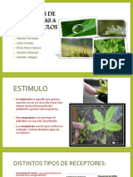 Repuestas de Las Plantas a Los Estimulos