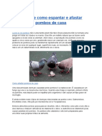 Como Espantar Afastar Pombos de Casa Telhado PDF