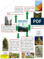 Infografia Region Quechua