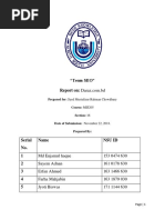 MIS205 Final Daraz