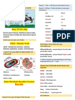 Biologi Dasar Lambung Hewan dan Reseptor Kulit