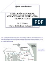 Clase_16_Flujo_Vesicular_Exocitosis_y_Endocitosis.pdf