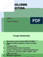 K7 - Metabolisme Nukleotida