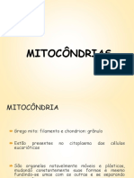 mitocondria.pdf