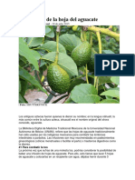 Beneficios del Aguacate.docx