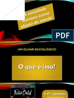 Aula 1 - O Que É Sociologia