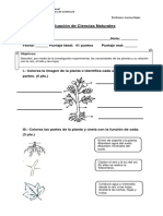 Evaluación Las Plantas