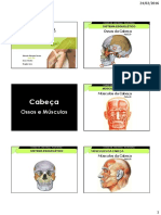 Anatomia-Palpatória-Tronco.pdf