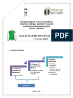 Guia de Pruebas Especificas