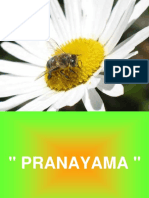 Pranayama - Respiração