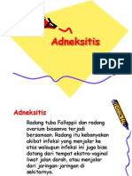 Adneksitis