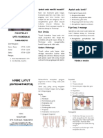Leaflet Fisioterapi