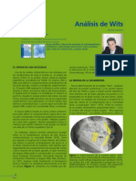 Analisis-de-Witts.pdf
