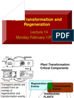 Plant Transformation and Regeneration: Monday February 13, 2017