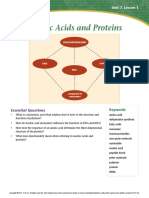 Nucleic Acids and Proteins Reading