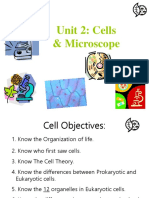Cells & Microscopes: A Guide to Organelles, Structures & Techniques