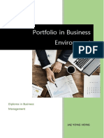 Portfolio in Business Environment