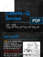 Camote-Q Review (VIP PIPE)