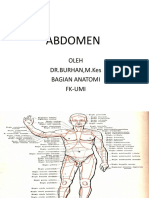 ABDOMEN