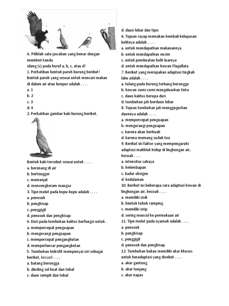 Kelangsungan Hidup Organisme Docx